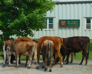 New England Woodcraft Headquarters