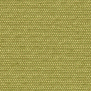 Green Polyester